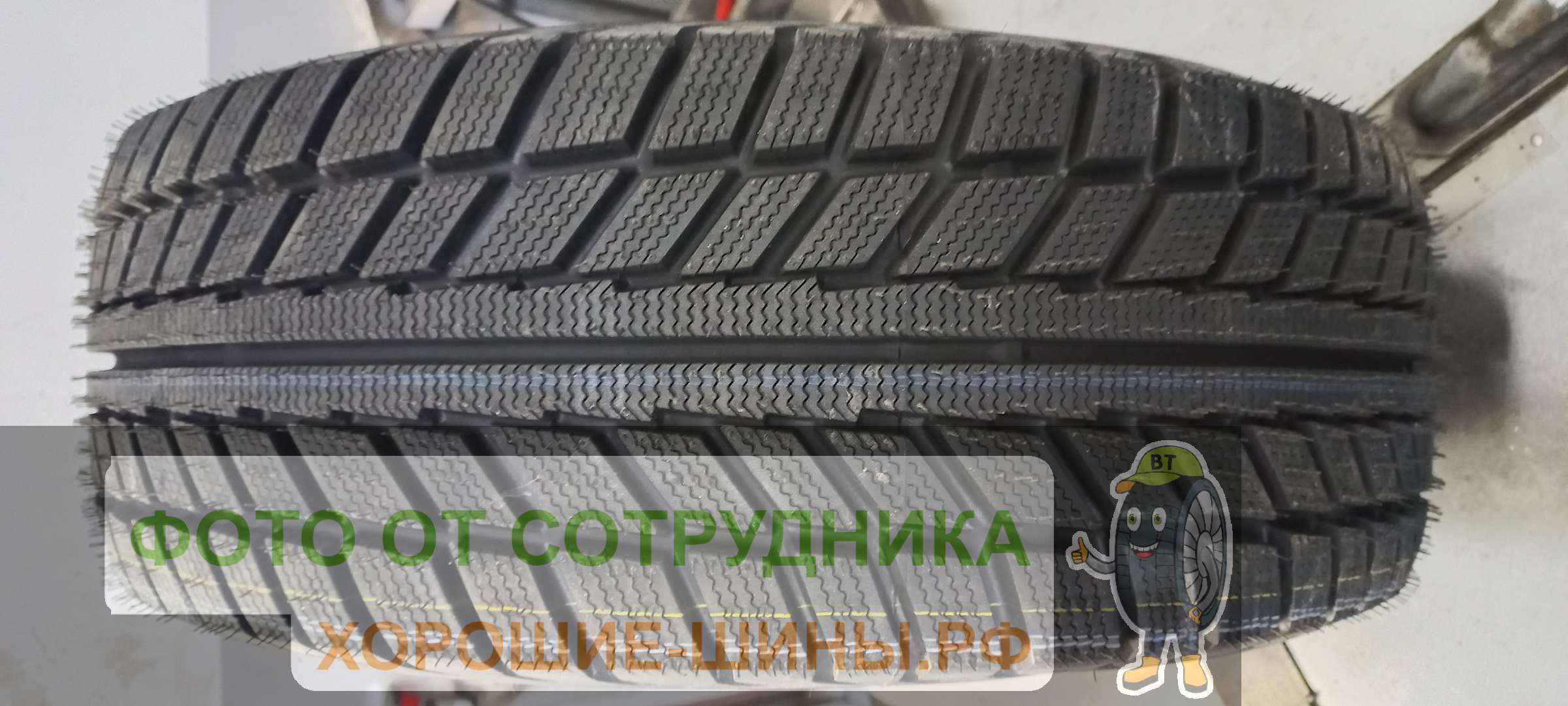 Belshina Artmotion Snow 205/55 R16 91T купить в Москве, зимняя шина - цены  в шинном центре BS-Tyres