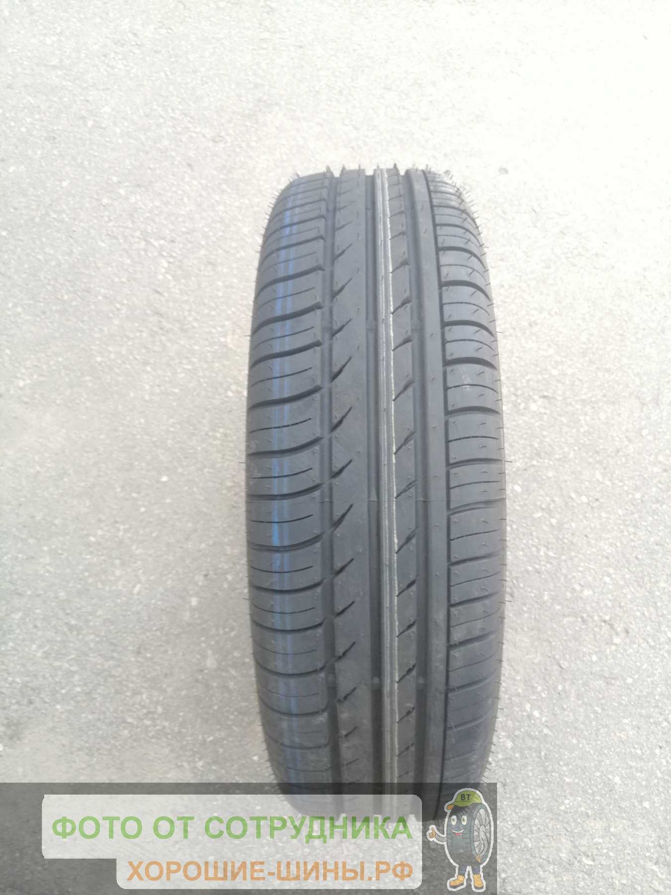 Belshina Artmotion 185/65 R15 88H купить в Москве, летняя шина - цены в  шинном центре BS-Tyres