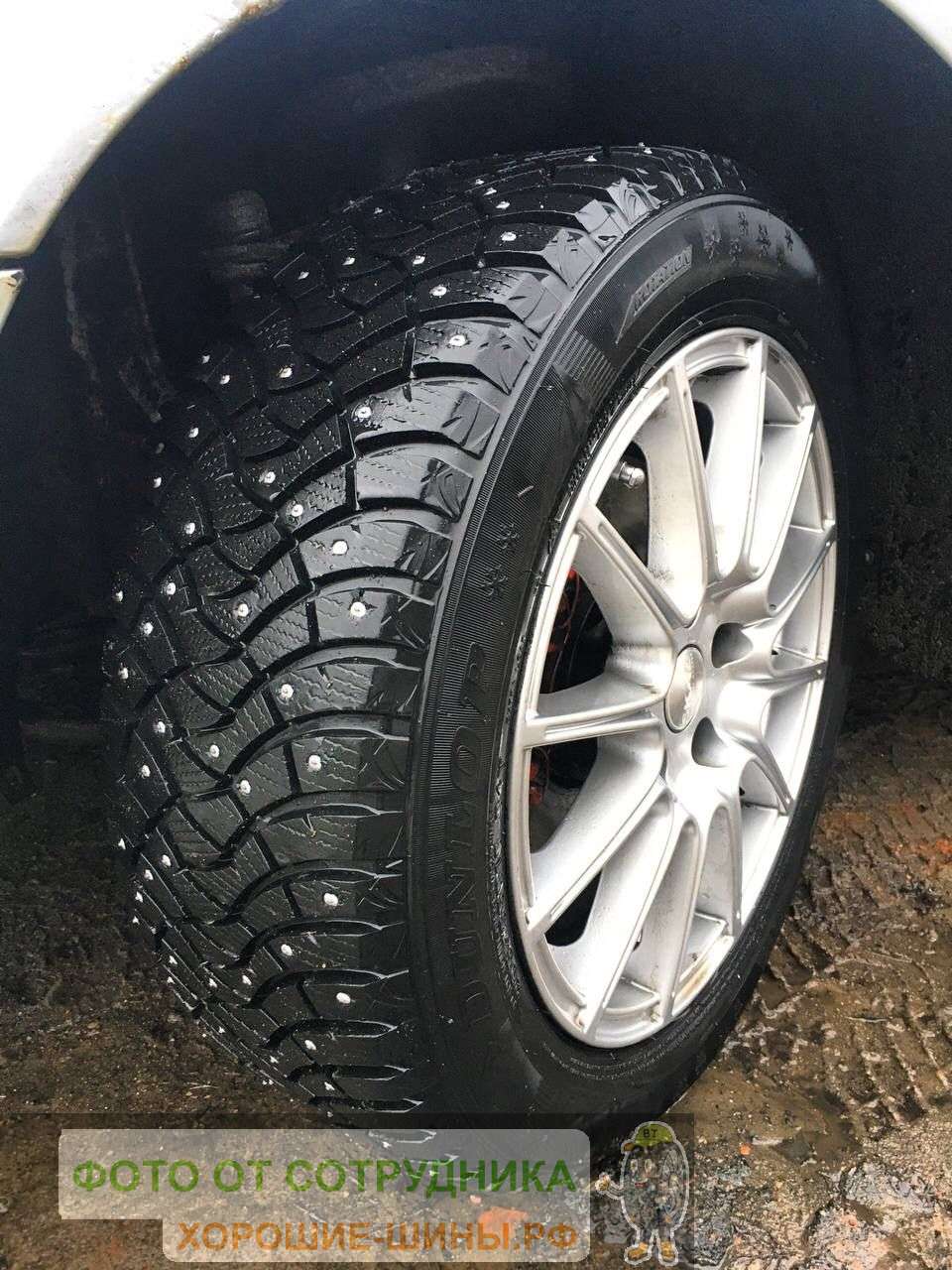 Dunlop Winter Ice 03 205/55 R17 95T купить в Москве, зимняя шина - цены в  шинном центре BS-Tyres